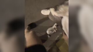 【深夜勾引小哥户外公厕操逼】无套插穴最后没忍住把精液全部射在骚逼里玩的也太刺激了快结束时突然有人进来 吓死了