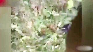 【最真实强奸轮奸合集】全球真实发生的强奸事件凶残没人性