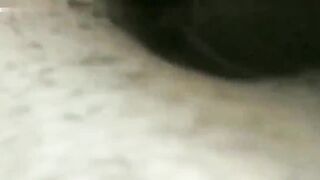 人兽大战合集80分钟