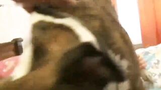 人兽大战合集80分钟