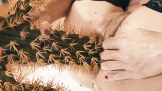 仙人掌也能操？