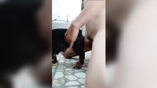 把家里的小狗给操了！