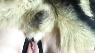 女孩和她的宠物狗113