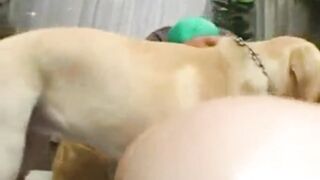 与性感狗狗的超棒三人行