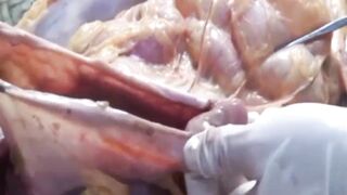 【重口味慎点】花季少女被奸杀~警方现场真实记录